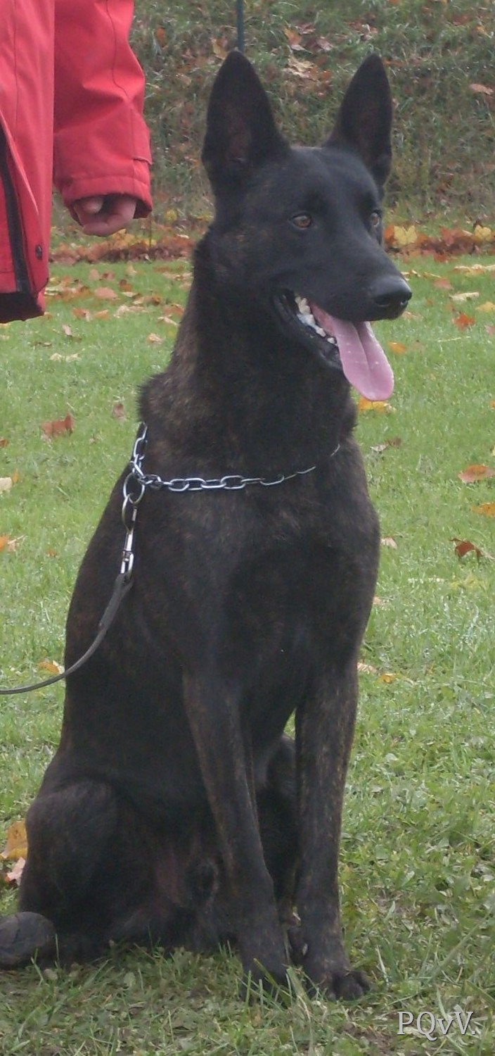  Mac Khalahann’s Fragan